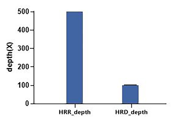 新品上线 %7C “暗探针”技术助力HRD研究,精准医疗又添一利